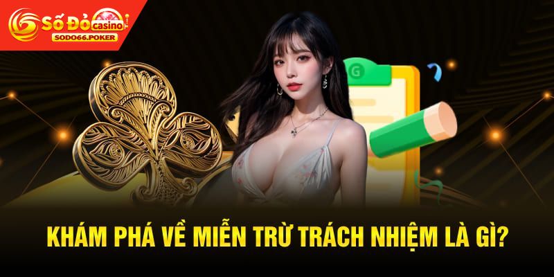 Đôi nét tổng quan thông tin miễn trừ trách nhiệm