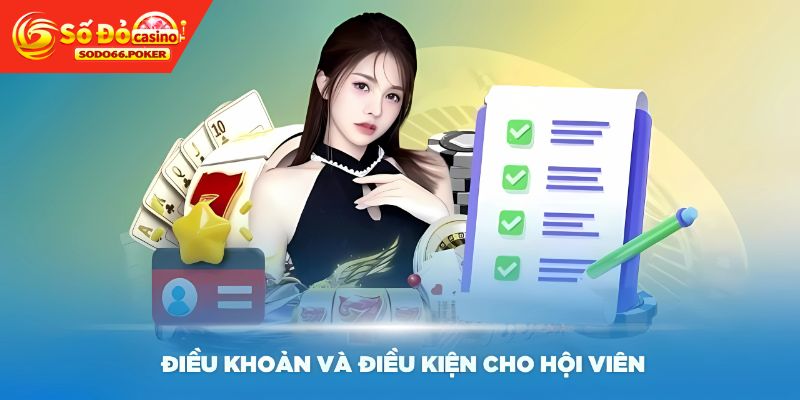 Thành viên có thể tận hưởng dịch vụ cá cược hoàn hảo