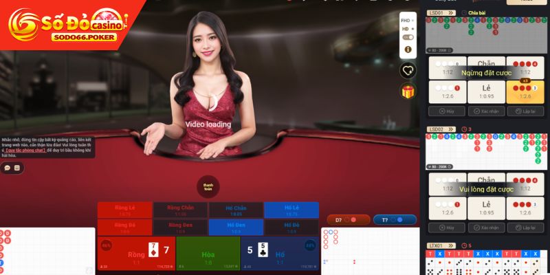 Cược rồng hổ cùng sân chơi casino SODO66